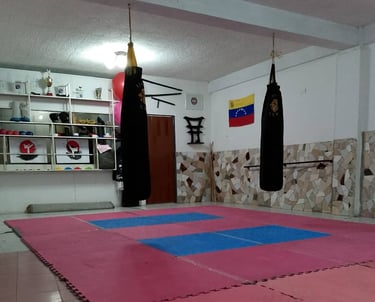 dojo ubicado en la sede de venezuela con tatami de entrenamiento y sacos de boxeo para karate