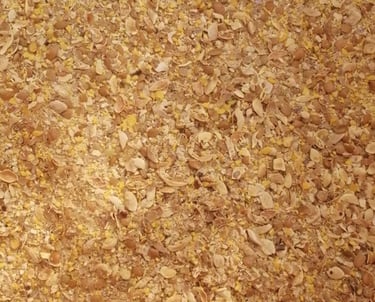 Harina de semilla extruida de mezquite