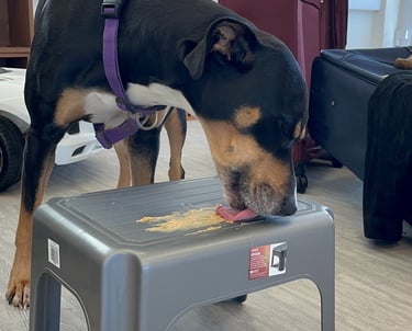 a dog licking peanut butter off a small table