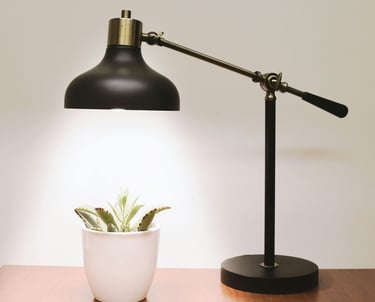LED grow light on a normal houseplant fixture