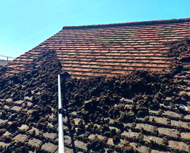 Roof cleaning cambridge scraping moss removal