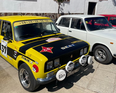 COCHES EXHIBICIÓN MADRID