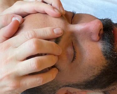 a guy giving another guy somatic bodywork