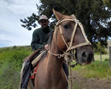 A person on horseback in a wooded area.