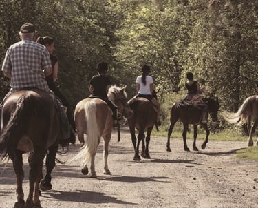 horseback riding in brownsburg-chatham near montreal