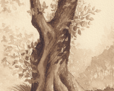 Walnut Ink drawing of tree