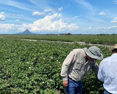 two men in hats and hats standing in a field