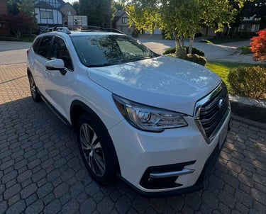 Exterior wash and wax – mobile car detailing Pickering ON – HD Luxe