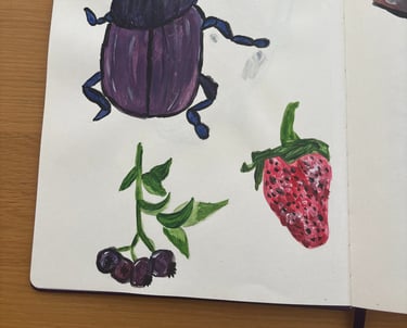 a book opened to show a drawing of a buggy buggy