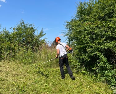 Apleistų sklypų tvarkymas – krūmų ir savaiminės augmenijos šalinimas trimeriu