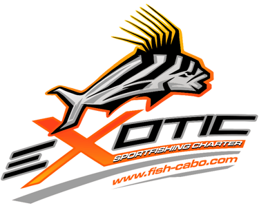 a logo for a sports team