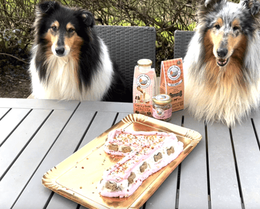 gâteau d'anniversaire pour chiens