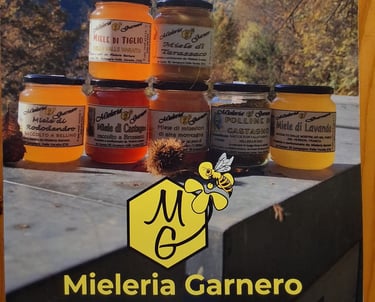 Barattoli di miele e propoli della mieleria Garnero su un arnia, con sfondo montagne.