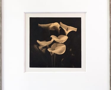 Gold 24 carats and platinum print of a flower, lilies in a mat board passepartout