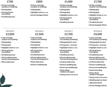 Fred Art Studio wedding pricing chart showing photography and videography packages from £700 to £5,0