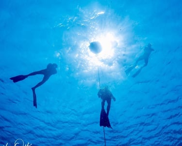 Freediving on Curacao