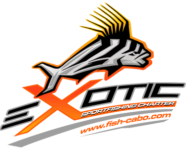 a logo for a sports team