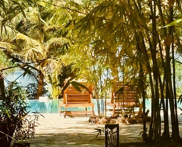 Vue de la piscine et du bolong dans le fond du boutique hôtel Maison Fimela au coeur du Sine Saloum