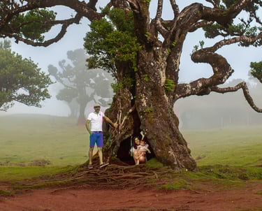 Family portrait under dramatic gnarled ancient tree with misty atmospheric conditions at Fanal Forest