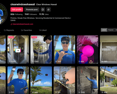 Window Cleaning TikTok
