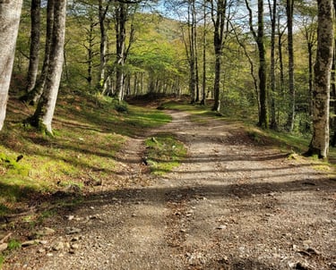 Métaphore chemin de thérapie