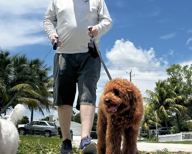 robert walking customers dogs in port saint lucie wearing a back's yard poop scooping shirt