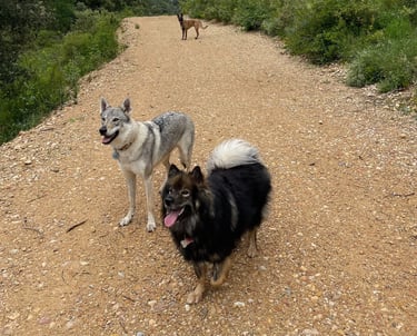 Team ClipsOPoil en balade dans le 06