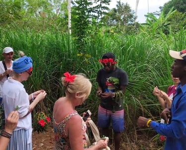 Tourist observing a local guide demonstrating spices at a Zanzibar spice farm during an authentic spice tour experience