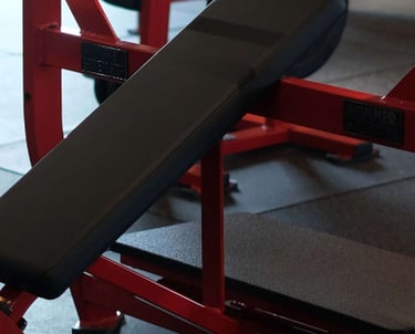 Incline Chest Press Fitzone Medan