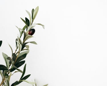 Frequently Asked Questions.