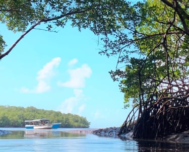 Trilhas, Ilha de Boipeba Praia de Castelhanos Refúgio do Sagrado. Eventos e hospedagem