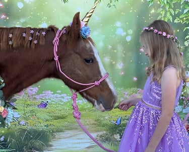 A fairy princess getting to know a magical unicorn named Snickers