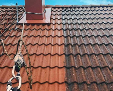 Før og etter takvask 