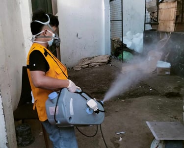 Professional exterminator wearing a mask and vest using a fogging machine for pest control services.