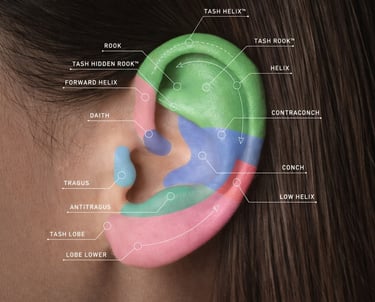 תרשים מקצועי של מיקומי פירסינג באוזן, כולל הליקס, טראגוס, קונץ' ותנוך