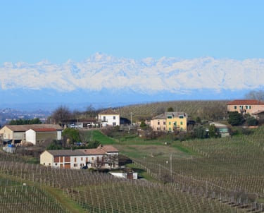 View from Fontanile (AT) towards the Italian Alps