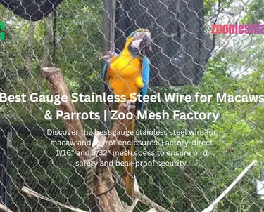 A Blue-and-Gold Macaw safely climbing on 2" x 2" x 3/32" hand-woven stainless steel mesh from Zoomesh Factory.