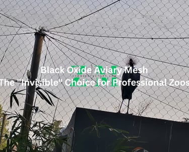 Black oxide aviary mesh enclosure for professional zoo bird exhibits and wildlife containment.