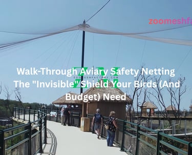 A wide-angle view of a professional walk-through aviary showing the high transparency of stainless steel safety netting