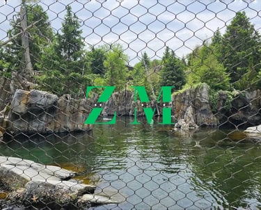 A naturalistic zoo habitat with a water pond and rocky cliffs viewed through a wire mesh fence.
