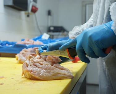 izmir toptan tavuk baget