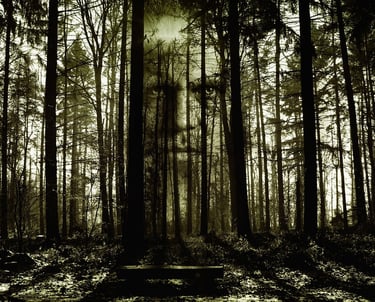 Eerie dark forest landscape with a ghostly face silhouette superimposed over tall pine trees.