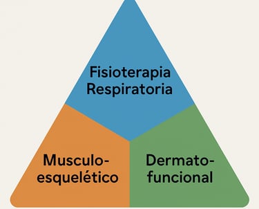 A calm therapy room with equipment for musculoskeletal ultrasound physiotherapy.