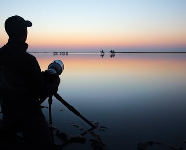 A wildlife photographer silhouette with a tripod capturing horses at sunset over a calm lake reflection.