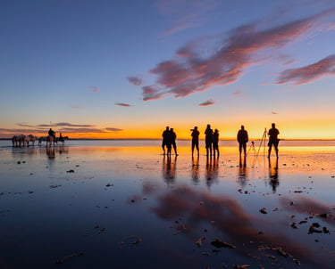Photographers silhouetted against a golden sunrise capturing white Camargue horses in shallow water.