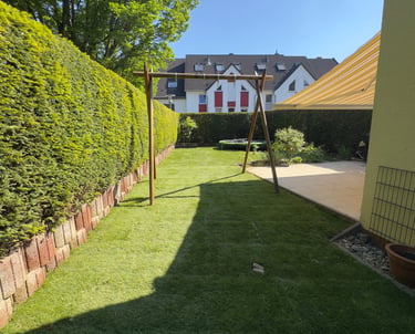 A sunny residential backyard featuring a wooden swing set, lush green lawn, and tall privacy hedges.