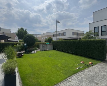Professional gardener trimming hedges and mowing a lush green lawn in a modern residential backyard.