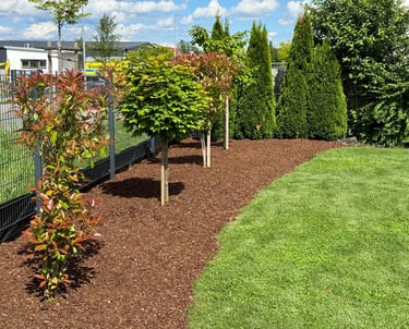 Landscaped garden bed with fresh brown mulch, decorative trees, and green shrubs next to a lawn.