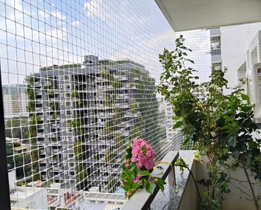 Wide shot of a commercial building in Bengaluru fitted with pigeon safety nets.
