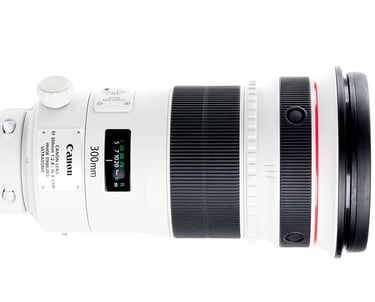 Hire Canon camera on rent Satpura Madahi Tiger safaris India